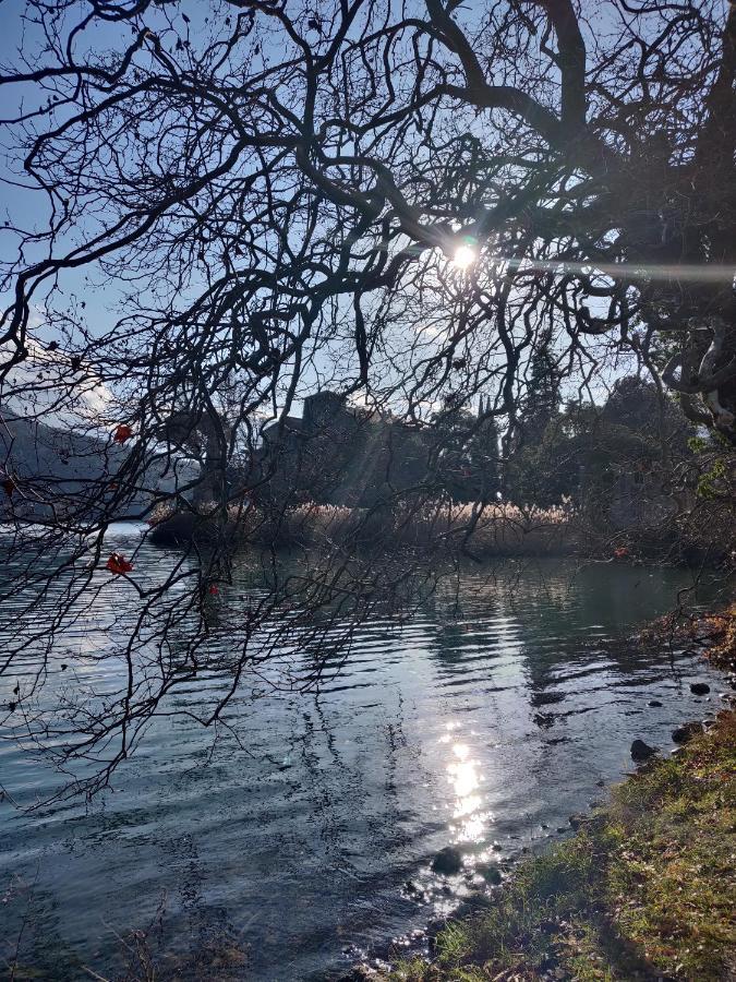 La Finestra Sul Brenta Apartman Lasino Kültér fotó